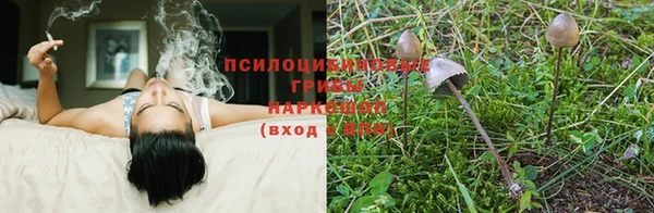 амф Алексеевка