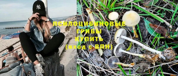 амф Алексеевка