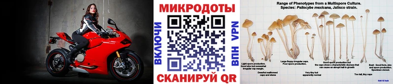 Галлюциногенные грибы прущие грибы  Арамиль 